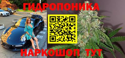 гашик Старая Купавна
