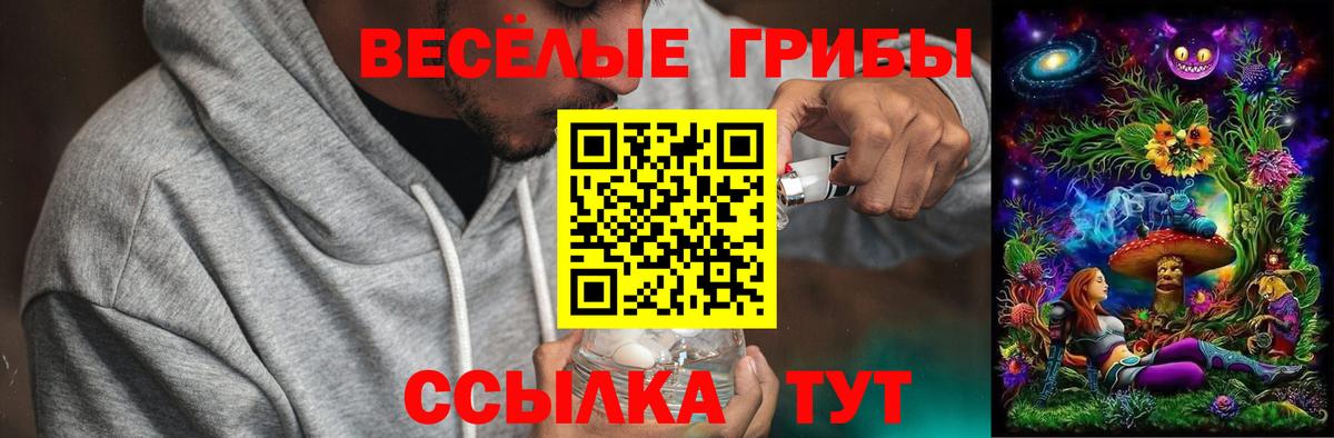 Псилоцибиновые грибы Psilocybine cubensis  Вход с VPN  цены   Нурлат 